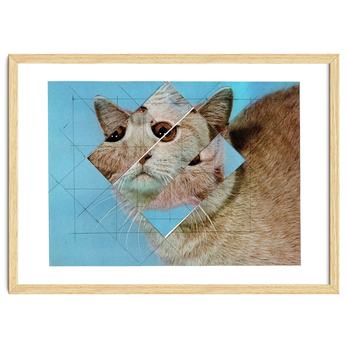 The Depressive Cat Am Abend Bekommt Den Blues