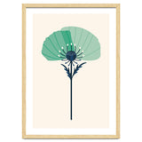 Teal Half Poppy thumbnail