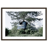 Blue hut on the tree thumbnail