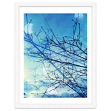 Winter thumbnail