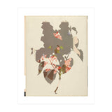 The First Plant · M2 (Print Only) thumbnail