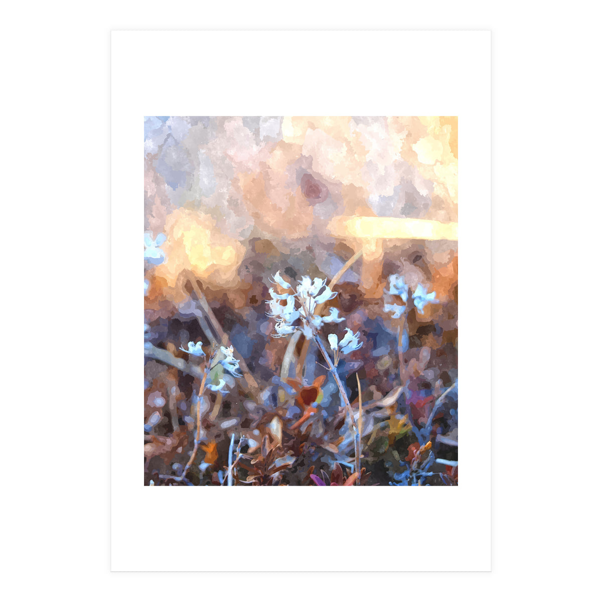 After The Rain (Print Only)