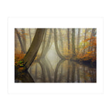 Bent trees in autumn (Print Only) thumbnail