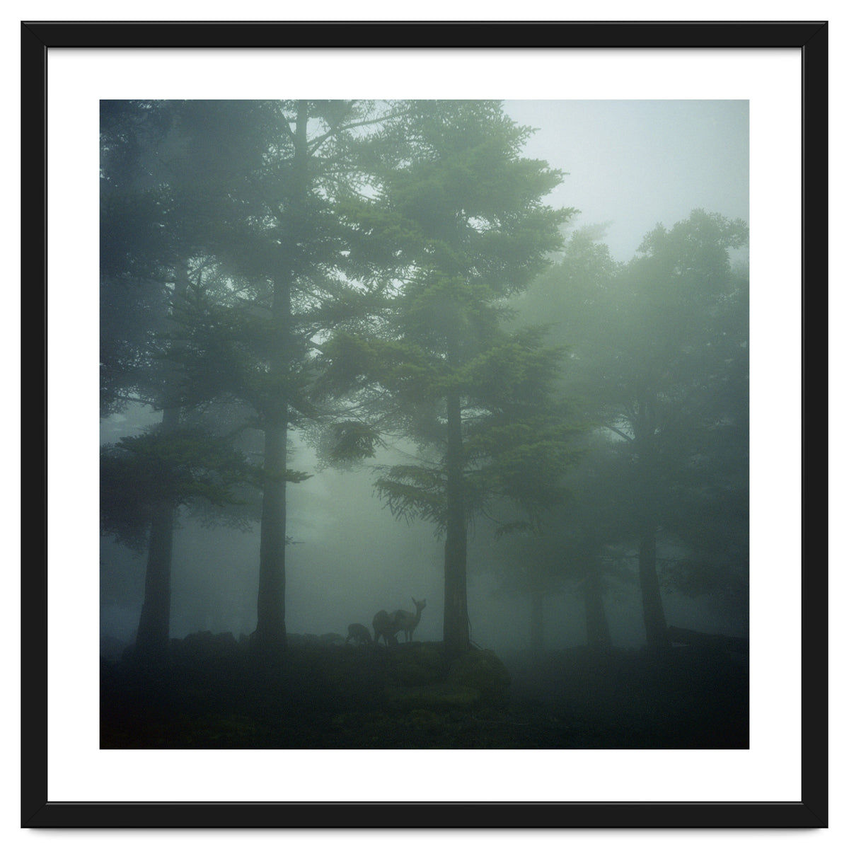 Silence of breath - 10