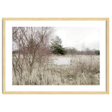 Abandoned Sofa in the middle of nowhere thumbnail