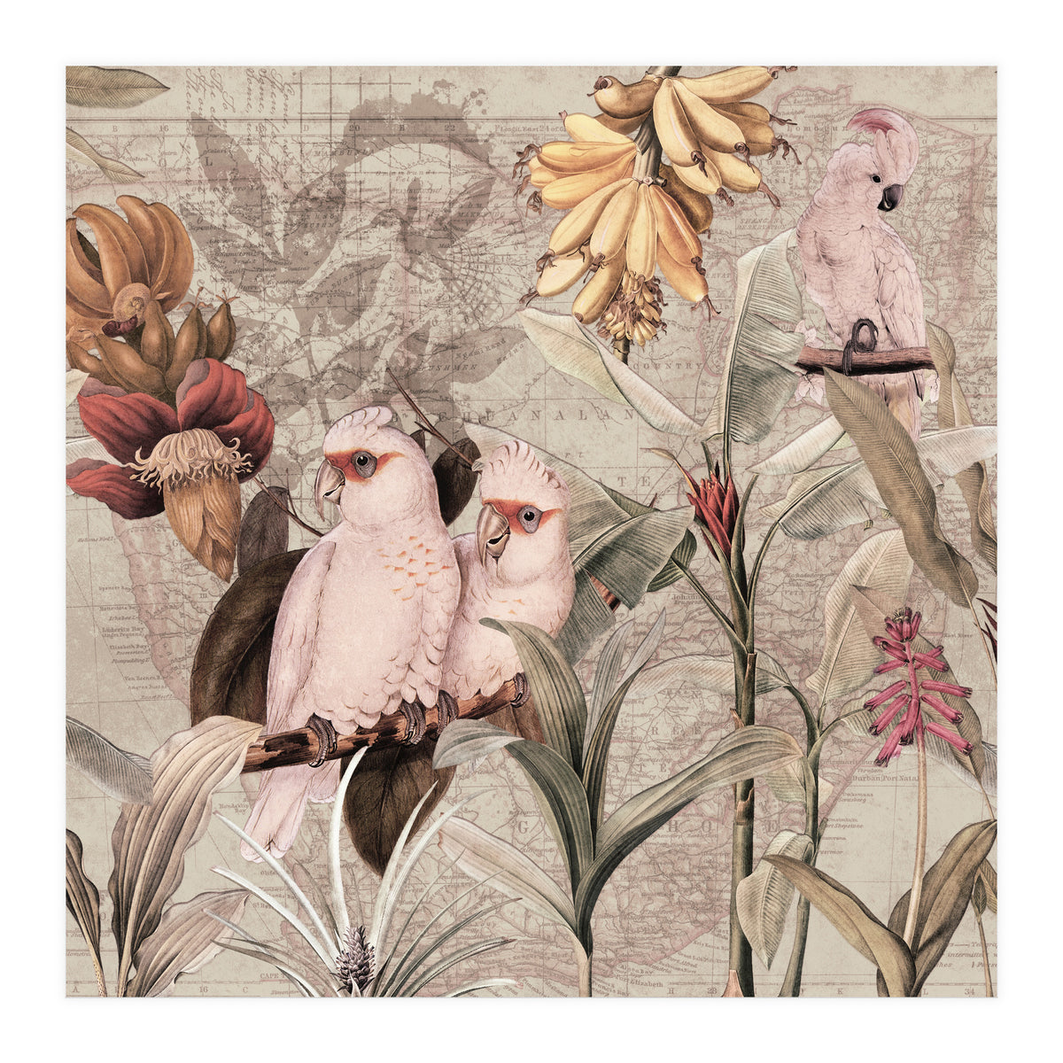 Cockatoo Exotic Bird Jungle  (Print Only)