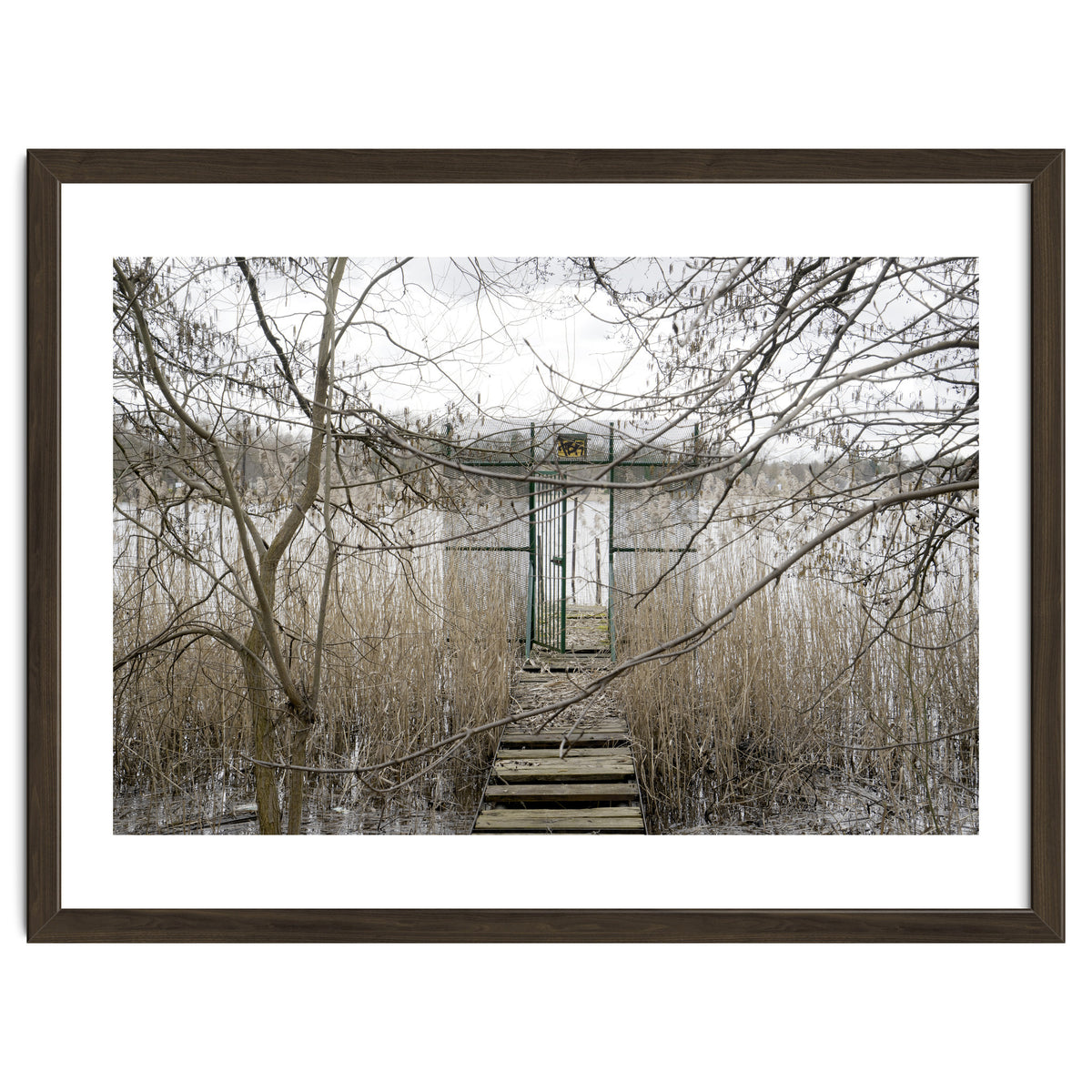 The gate to the lake