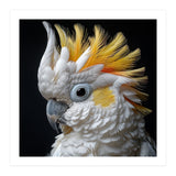 Close Up Cockatoo Portrait Yellow Crested Bird (Print Only) thumbnail