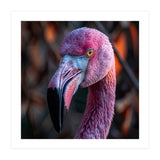 Close Up Of A Pink Flamingo Bird Face (Print Only) thumbnail