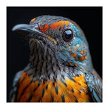 Close Up Of A Colorful Exotic Bird Head (Print Only) thumbnail