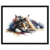 Maine Coon Resting Portrait