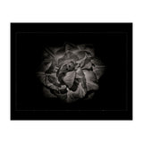 Backyard Flowers In Black And White No 81 with Border (Print Only) thumbnail