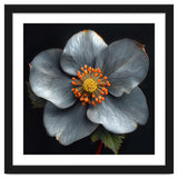 Hellebore | Silver Magic thumbnail
