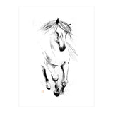 Runninh Ghorse In Water (Print Only) thumbnail