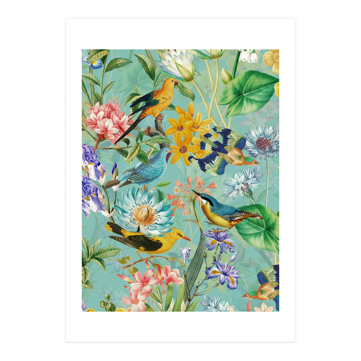 Birds In Tropical Jungle  (Print Only)