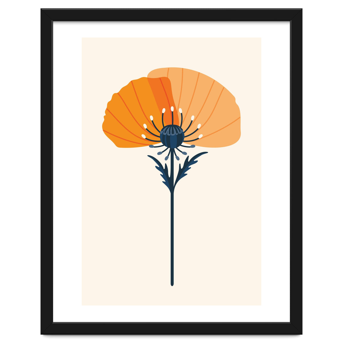 Orange Half Poppy