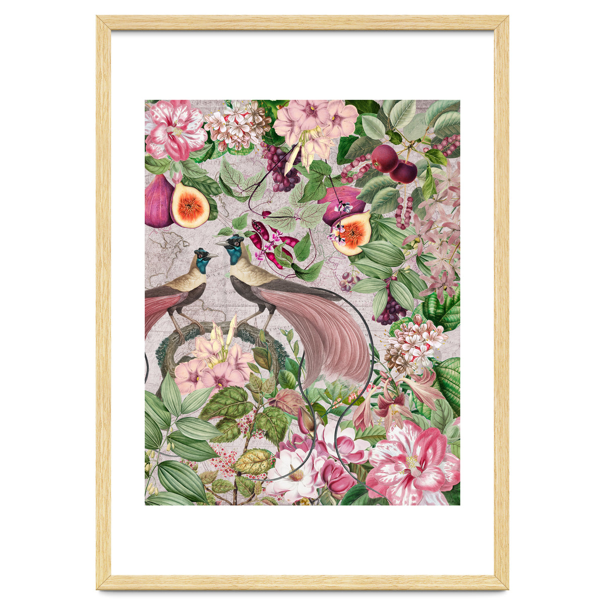 Vintage Birds Of Paradise Jungle