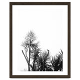 Miminalist Palm thumbnail