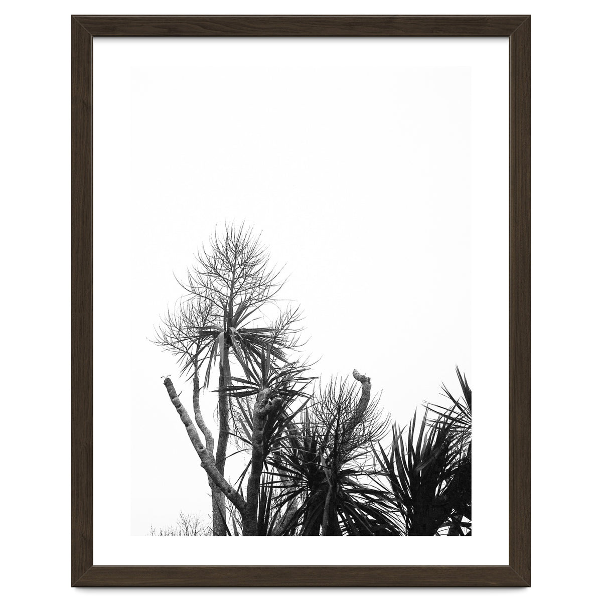 Miminalist Palm