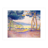 Pines Along the Shore. (Print Only) thumbnail