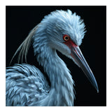 Striking Portrait Of A Blue Heron Bird (Print Only) thumbnail