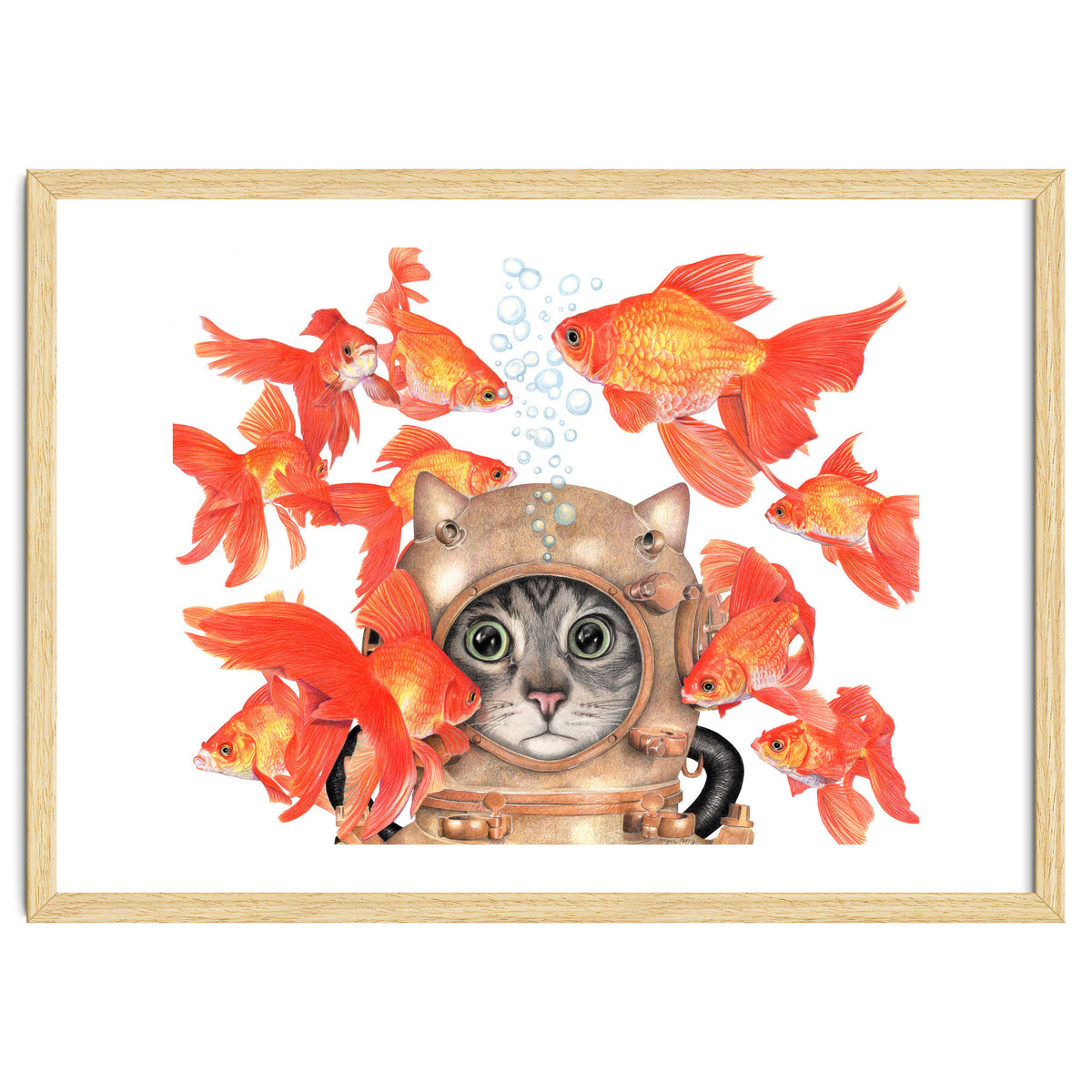 Scuba Catlgbright