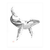 Whale (Print Only) thumbnail