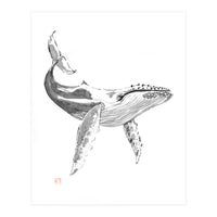 Whale (Print Only)