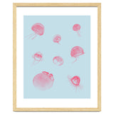 Jellyfish thumbnail