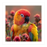 Close Up Of A Sun Conure Parrot With Bright Feathers (Print Only) thumbnail