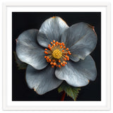 Hellebore | Silver Magic thumbnail