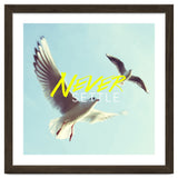 Never Settle thumbnail