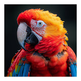 Scarlet Macaw Parrot Portrait Vivid Colors (Print Only) thumbnail