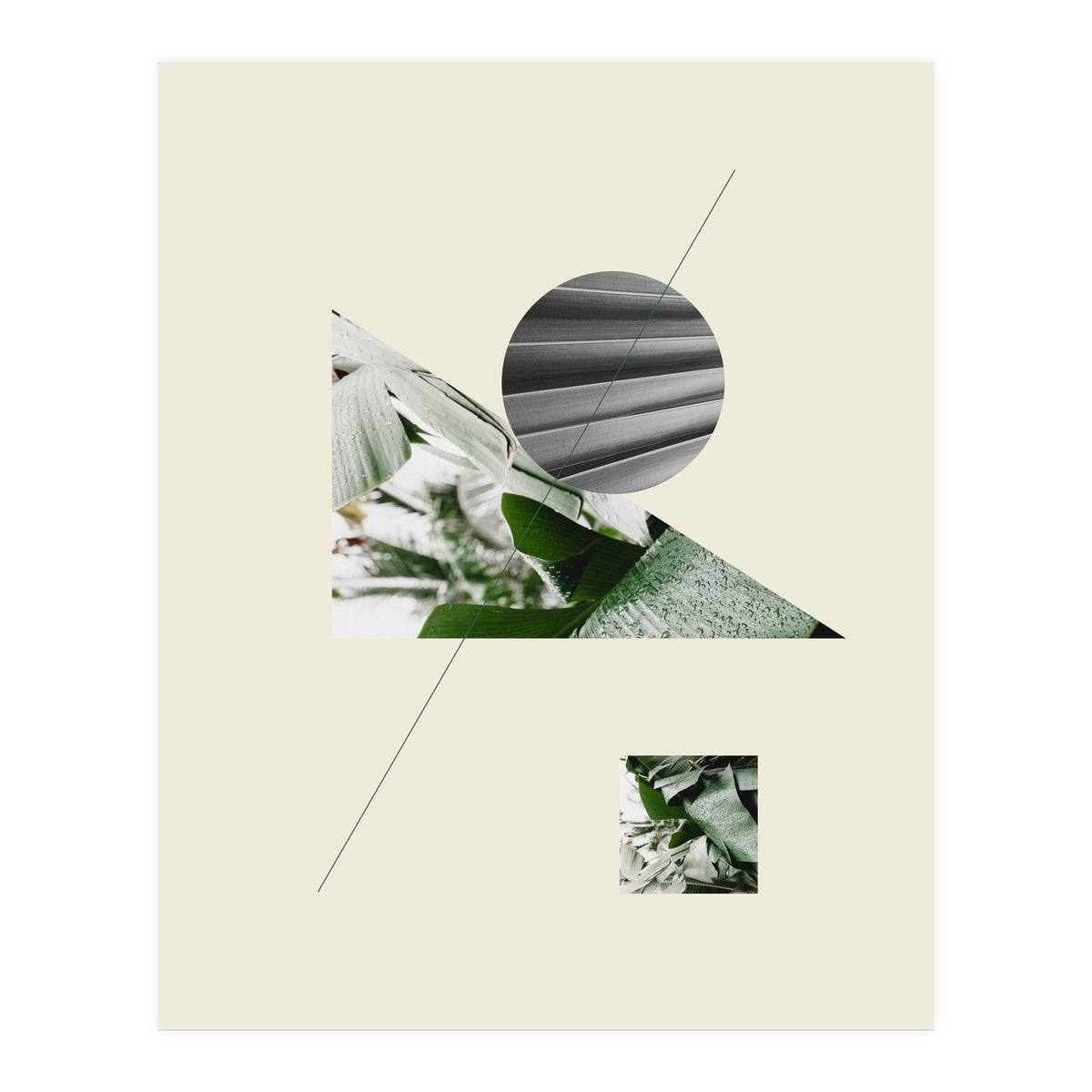 Tropical Geometry No 2 (Print Only)