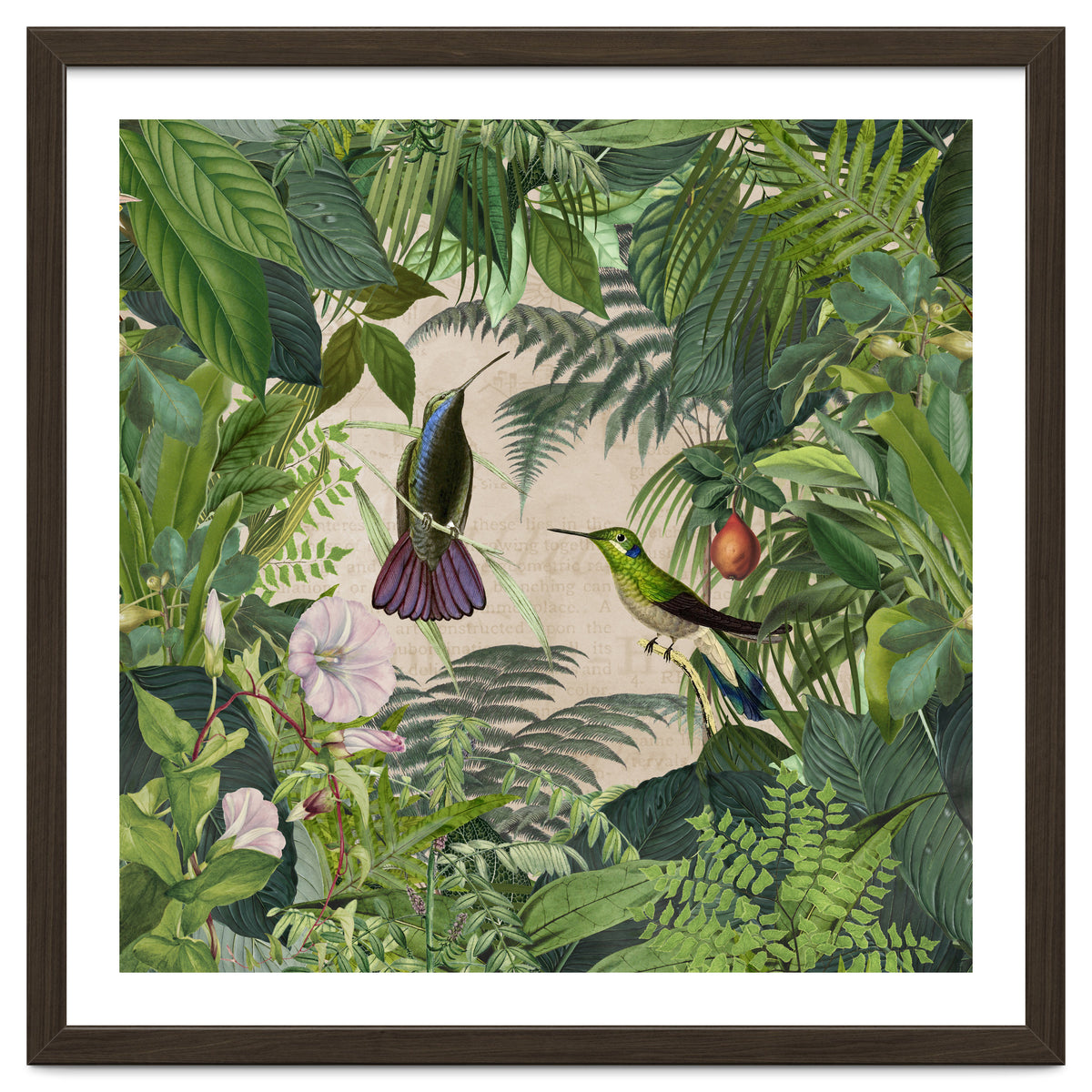 Tropical Hummingbird Jungle