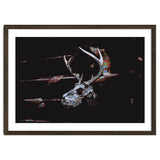 Deer Skull thumbnail