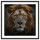 Majestic Lion With Glowing Eyes Close Up Portrait thumbnail
