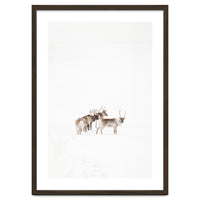 Reindeer in the snow