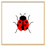 Lady Bug thumbnail