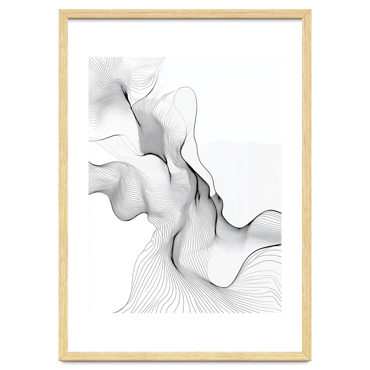 Abstract Black And White Flowing Lines