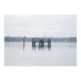 Birds rest in the Lake (Print Only) thumbnail