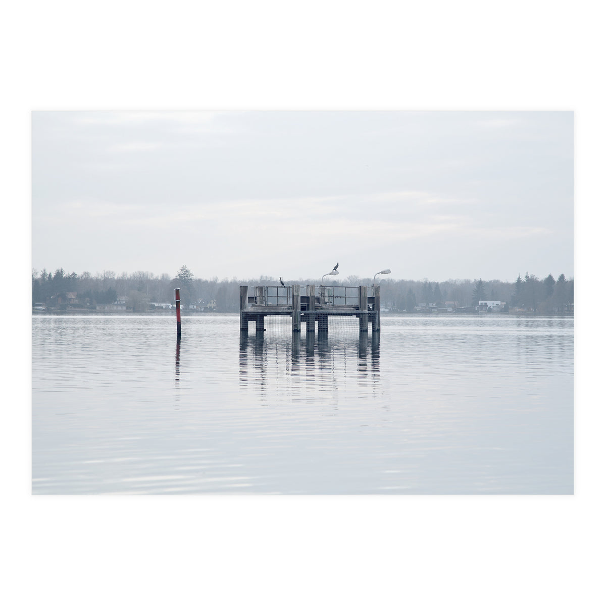 Birds rest in the Lake (Print Only)