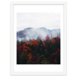 Fog thumbnail
