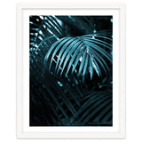 Blue Jungle Palm Ii thumbnail