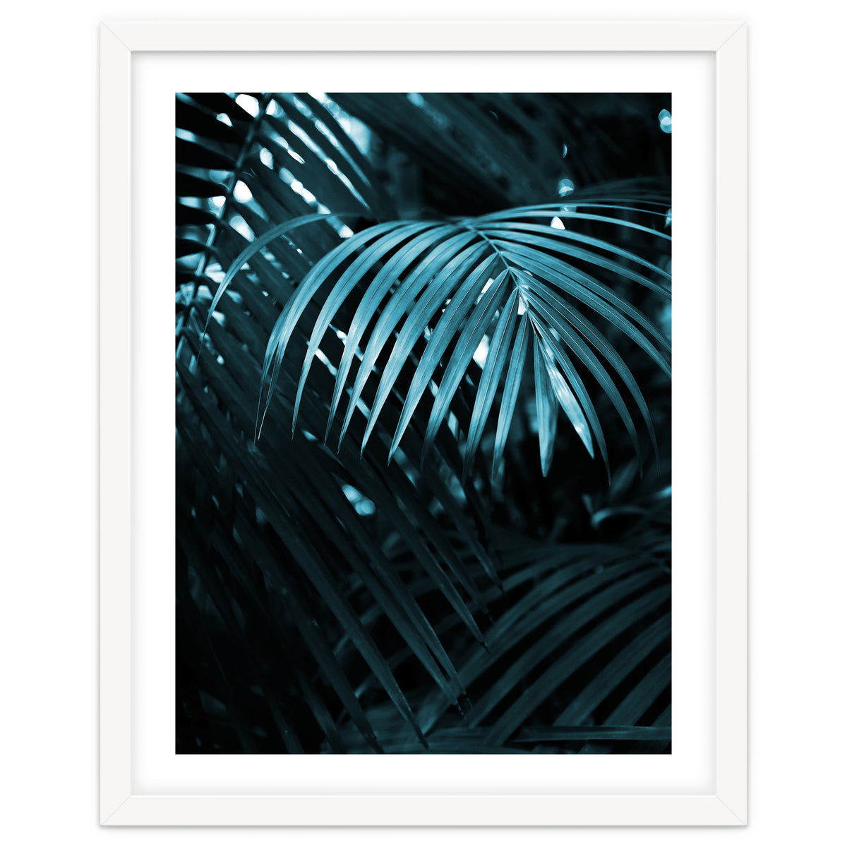 Blue Jungle Palm Ii