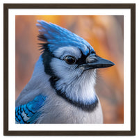 Blue Jay Bird Close Up Detailed Portrait
