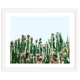 Blush Cactus #society6 #decor #buyart thumbnail