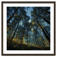 Celestial Forest Canopy with Swirling Golden Fireflies and Deep Twilight Blue Sky Digital Art