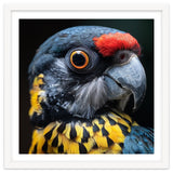 Close-up Portrait of a Vibrant Parrot thumbnail