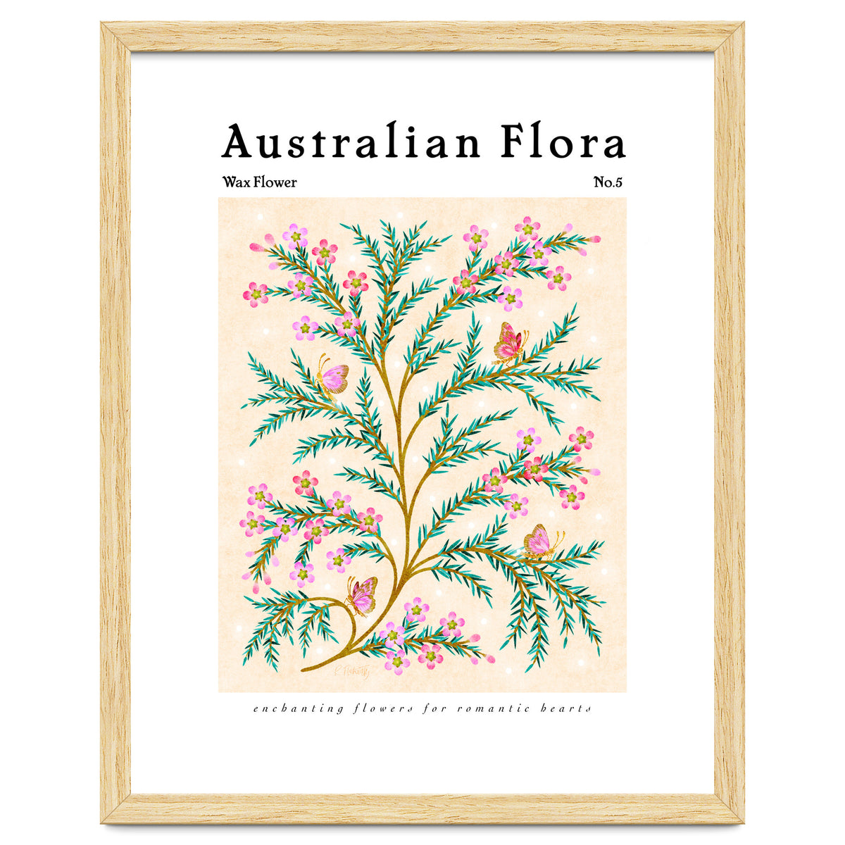 Australian Flora: Wax Flower